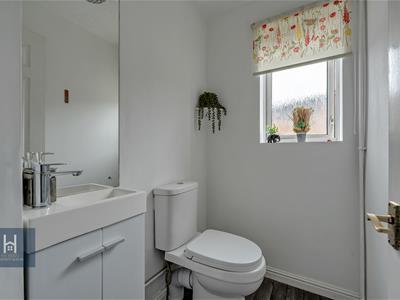 Picture 16